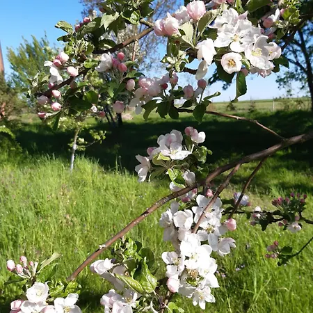 Kulturfreizeiten Apartment *