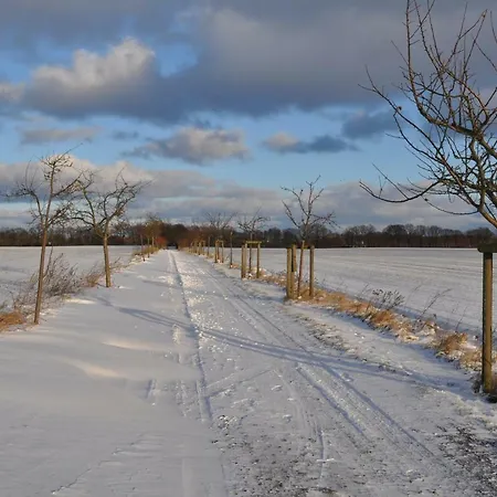 Kulturfreizeiten Neuruppin