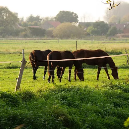 Kulturfreizeiten Apartment *