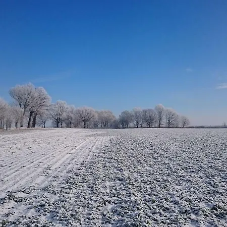 Kulturfreizeiten Apartment