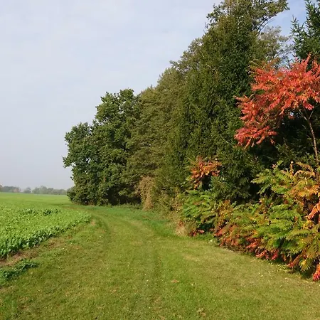 Kulturfreizeiten Neuruppin