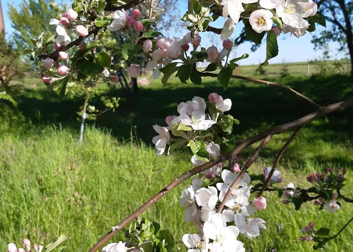 Kulturfreizeiten Apartment *