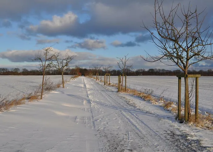 Kulturfreizeiten Neuruppin