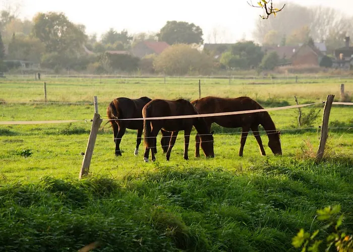 Kulturfreizeiten Apartment *