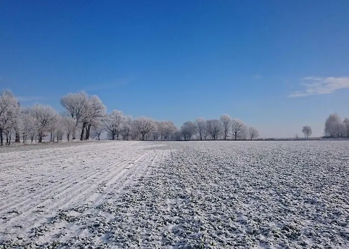 Kulturfreizeiten Apartment
